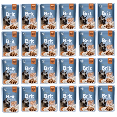 Brit Premium 24 x saszetka 85g indykw sosie